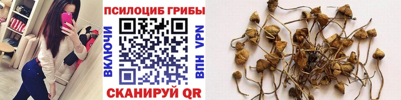это клад  Озёры  Псилоцибиновые грибы Magic Shrooms 